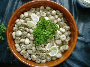 P1010020